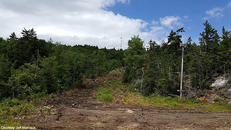 The recently cleared Moxie Trail