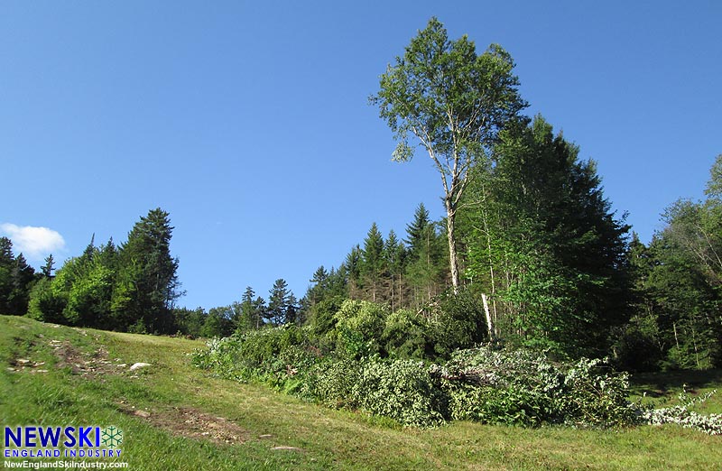 Green Peak trail clearing, August 27, 2016