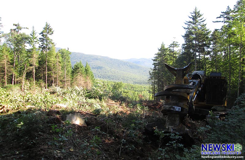 Green Peak trail clearing, August 27, 2016