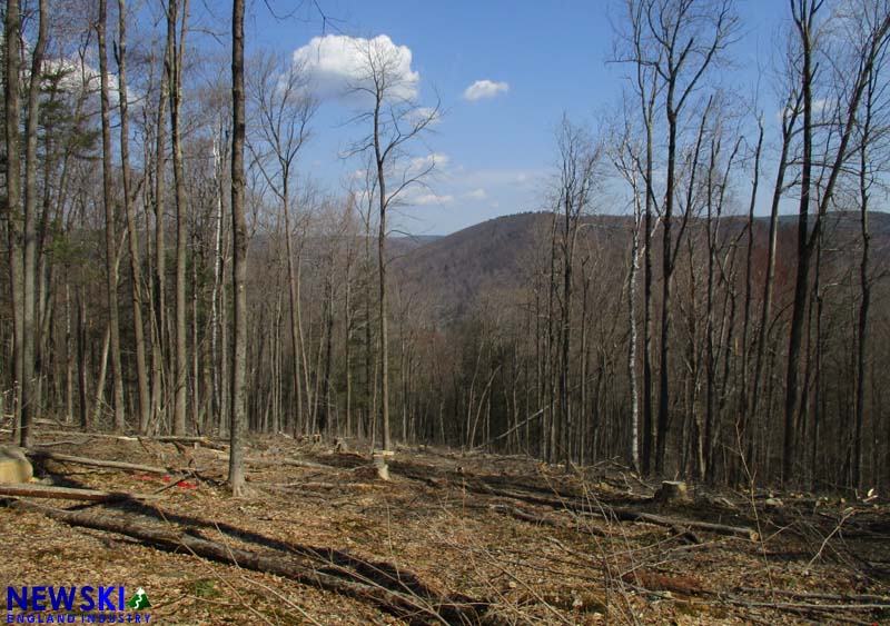 Berkshire East new trail clearing, April 16, 2017