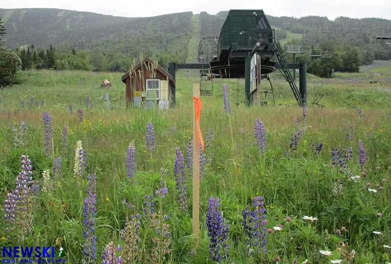 Rangeley Double, July 9, 2017