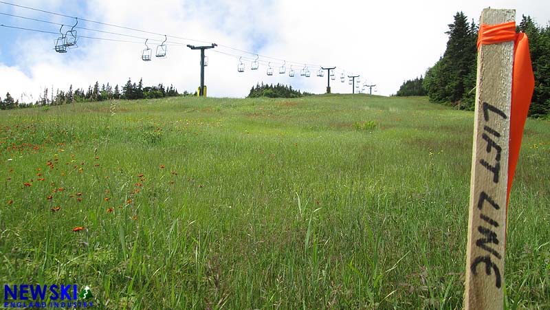 High Country T-Bar Line, 07/15/2017