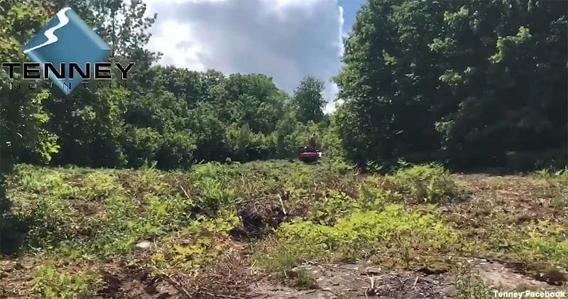 Tenney Mountain trail clearing