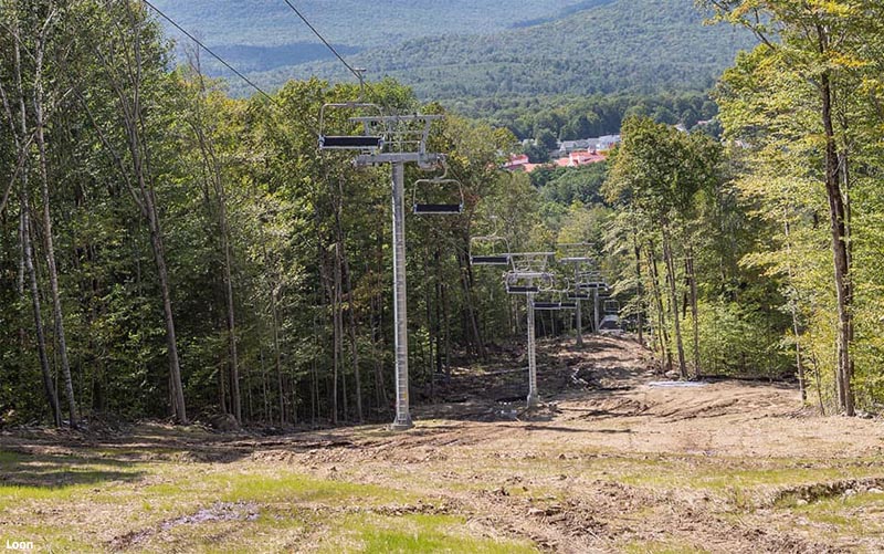 Loon Timbertown