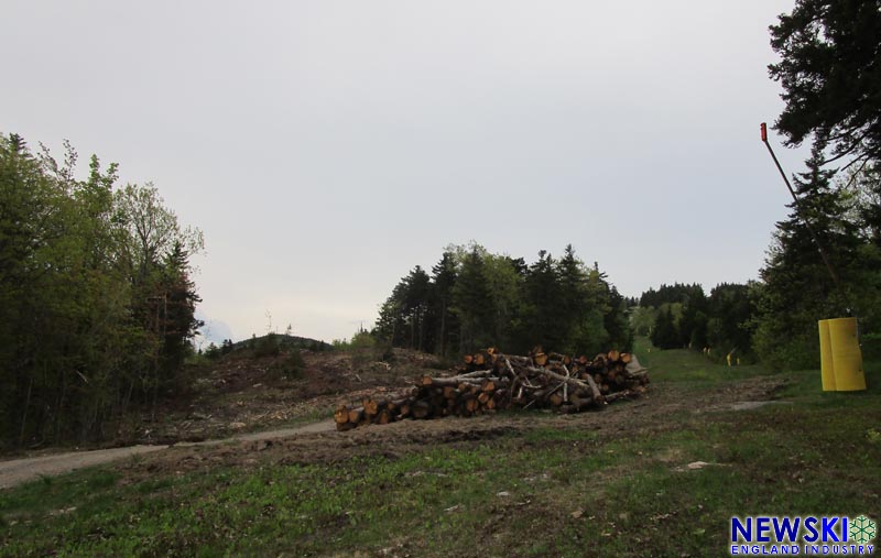 Gunstock trail clearing May 2024