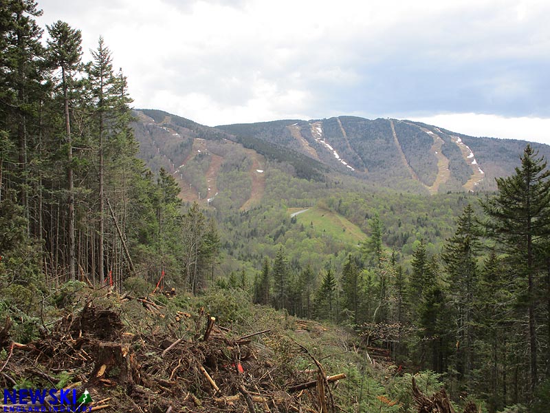 Western Merrill Hill trail, May 2021